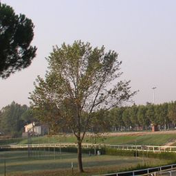Buca del Palio