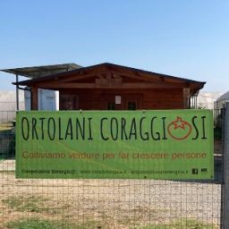 Cooperativa Sinergic@