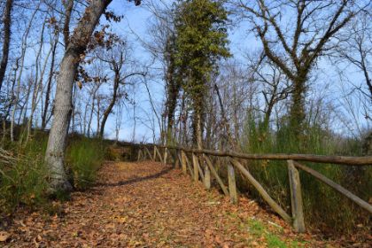 Anello del tartufo nei Vallini delle Cerbaie, passeggiata storico naturalistica