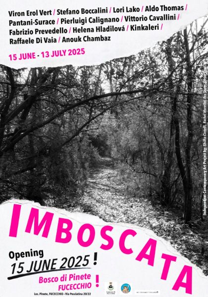 Imboscata - Indipendent Contemporary Art Project 