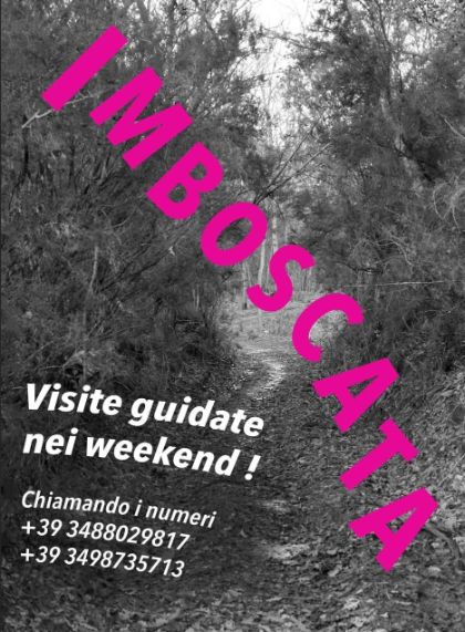 Imboscata - Independent Contemporary Art Project 