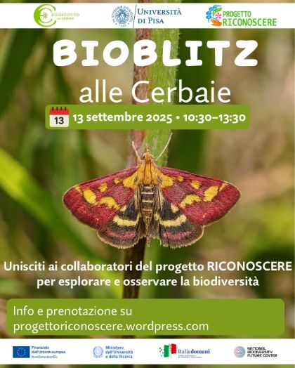 Bioblitz alle Cerbaie Bioblitz alle Cerbaie