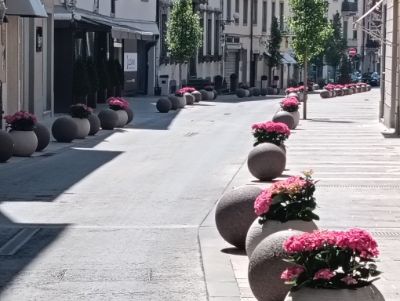 ortensie corso matteotti