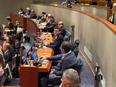 favilli nazione unite 