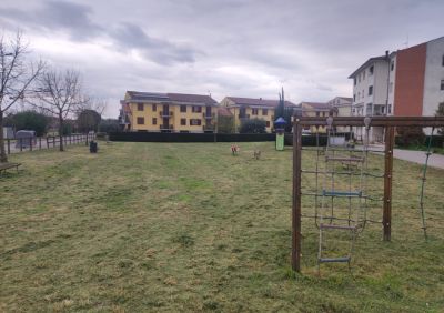 tagli verde