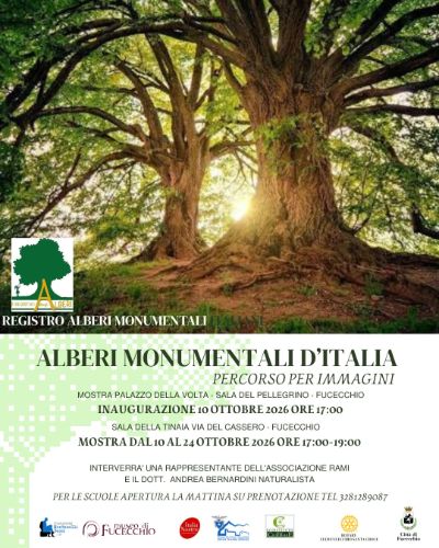 mostra alberi