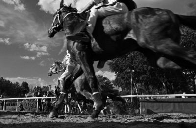 palio1