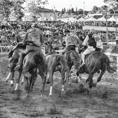 palio