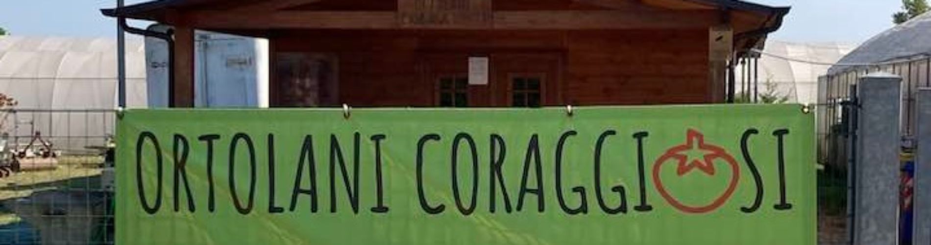 Cooperativa Sinergic@