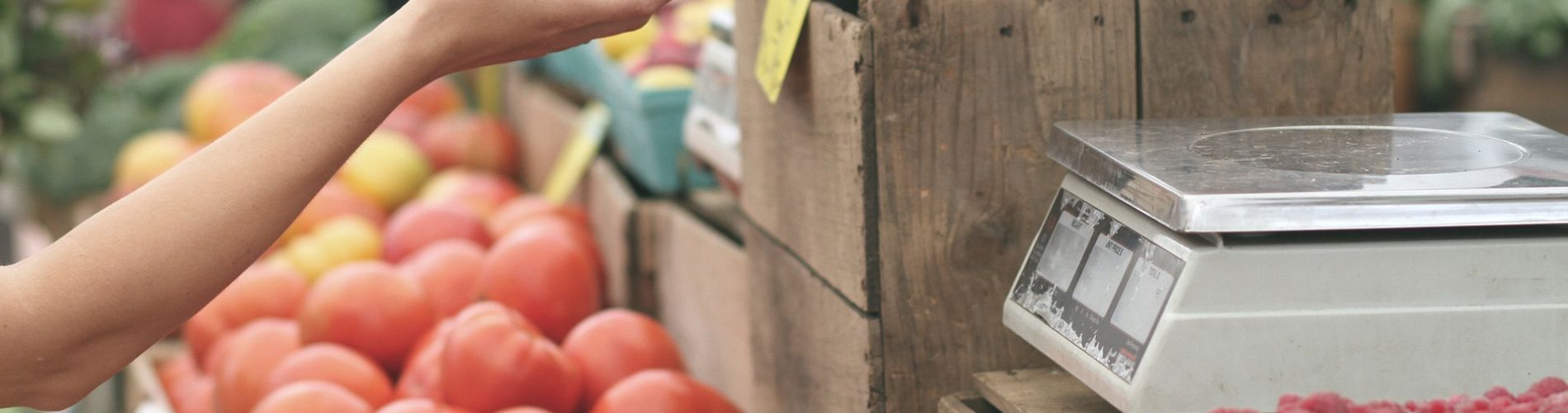 Mercato settimanale di Fucecchio