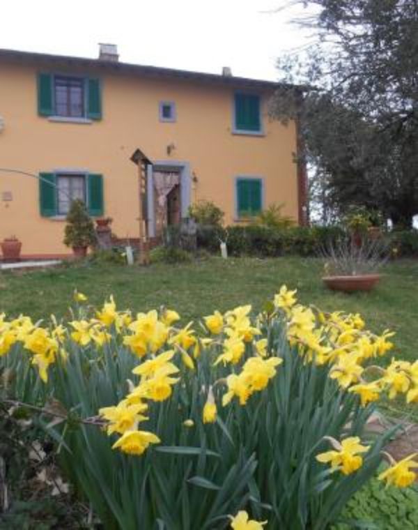 La Pineta